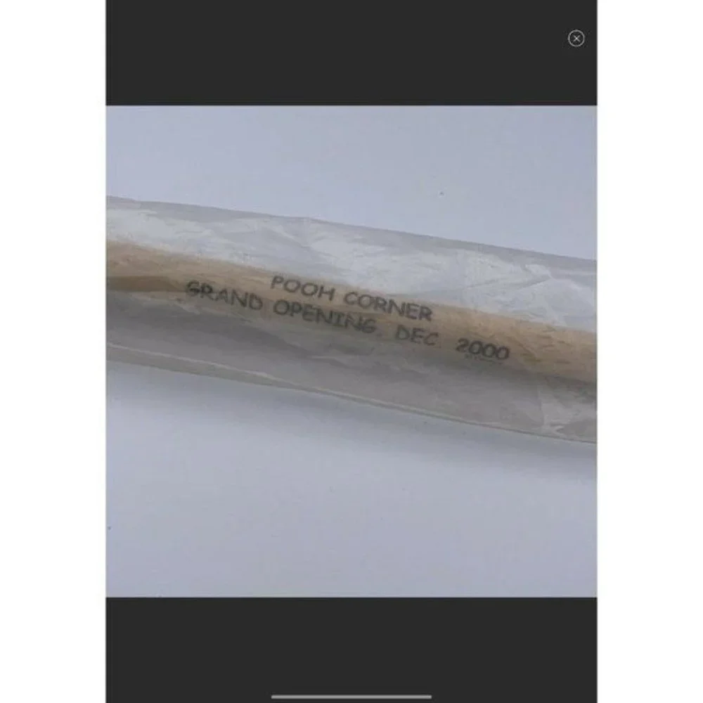 Downtown Disney World POOH CORNER STORE OPENING Honey Wand Dipper Sealed